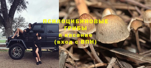 эйфоретик Вязники